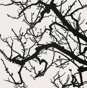 「傷ついた風景」から見える「明日」とは？　国立新美術館『DOMANI・明日展』開催