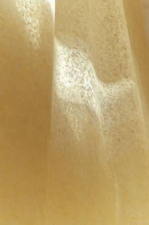 「傷ついた風景」から見える「明日」とは？　国立新美術館『DOMANI・明日展』開催