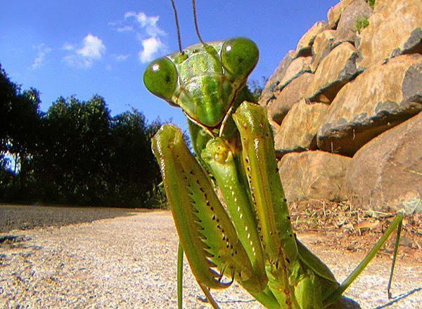 「傷ついた風景」から見える「明日」とは？　国立新美術館『DOMANI・明日展』開催