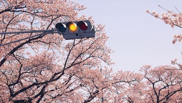 「傷ついた風景」から見える「明日」とは？　国立新美術館『DOMANI・明日展』開催