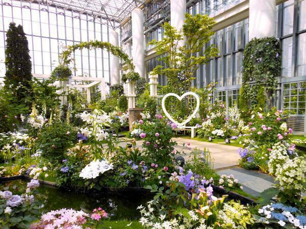 250種の薔薇が咲く！ 淡路夢舞台で今年も「薔薇祭」が開幕