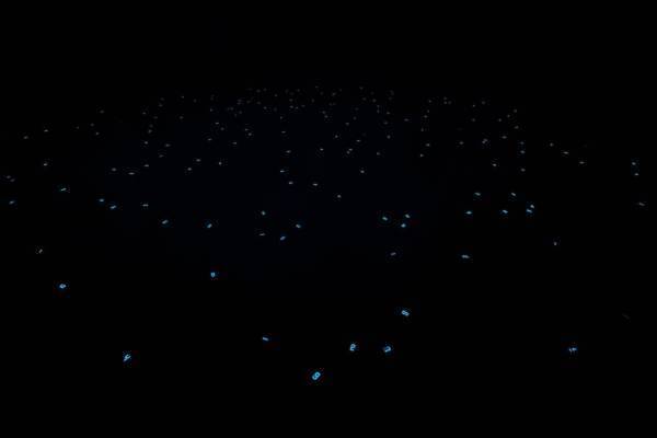 宮島達男の25年を展覧する大規模個展　『宮島達男 クロニクル 1995−2020』が開催