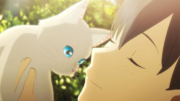 私たちはいつも“仮面”をつけている!? 『泣きたい私は猫をかぶる』監督が語る