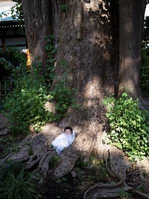 嵐・二宮和也主演の映画『浅田家！』原案者 浅田政志の新作写真展が渋谷パルコでスタート！