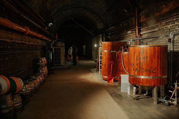 Chim↑Pomの「都市論」とは？　ANOMALYにて2プロジェクトを紹介