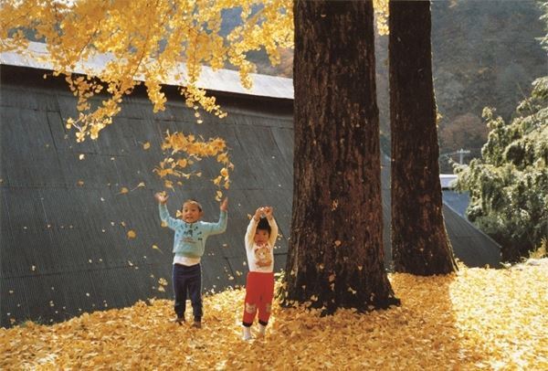 国も時代も異なる5名の表現への情熱にふれる『Walls & Bridges』展 21年7月より東京都美術館にて開催