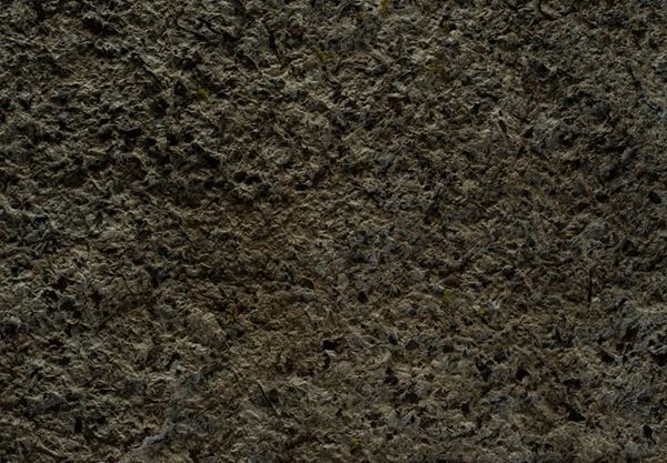 東京都写真美術館にて『写真とファッション』展、7月19日（日）まで会期を延長して開催中