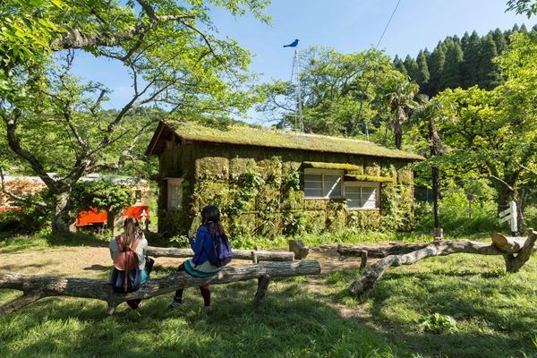 “首都圏のオアシス”で芸術祭！　11月19日(金)より「房総里山芸術祭 いちはらアート×ミックス 2020＋」開催