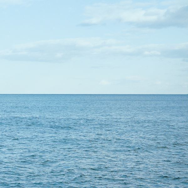 RADWIMPS、野田洋次郎出演のカロリーメイト新CMソング「鋼の羽根」本日配信スタート