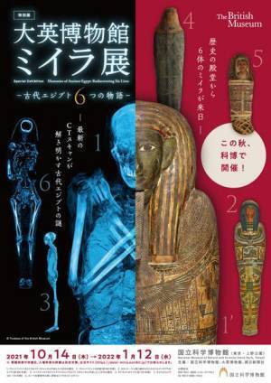 神官、幼い子供など6体のミイラを展示　特別展「大英博物館ミイラ展 古代エジプト6つの物語」開催決定