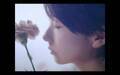いきものがかり、波瑠が出演する『きらきらにひかる』MVを公開＆二次創作を募る「いきもの文化祭」などのキャンペーンを発表