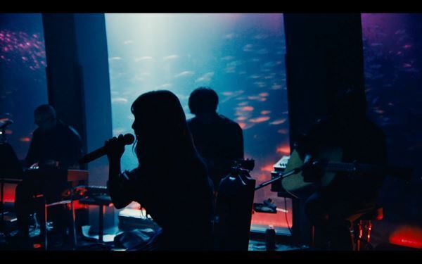 ヨルシカ初のライブ映像作品『ヨルシカ Live「前世」』発売決定、「春泥棒」「花人局」を先行公開