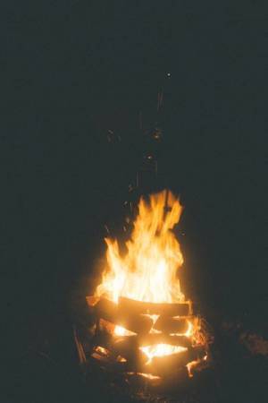 もう子供じゃない、でも大人でもない19歳のふたりだからできる演奏がここに！ さくらしめじ配信ライブレポート