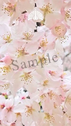 東京事変、新曲「緑酒」SNSシェアキャンペーンスタート　応募者に限定待受プレゼント