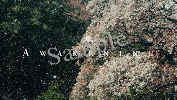 東京事変、新曲「緑酒」SNSシェアキャンペーンスタート　応募者に限定待受プレゼント