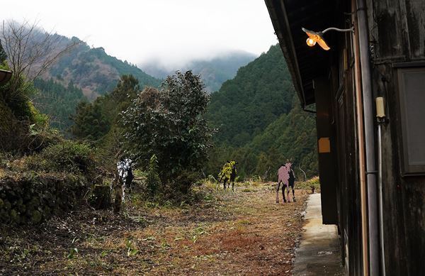 TOKYOの村・檜原村で初のアートプロジェクト　村内回遊型現代アート展覧会『ひのはらアートプロジェクトβ 芸術と自然と東京』開催