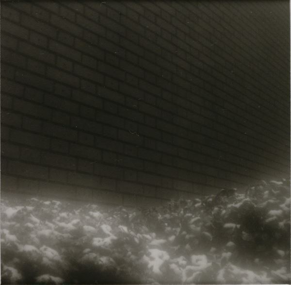 版画や写真、絵画などから近代以降の上野の歴史を紐解く 『東京都コレクションでたどる〈上野〉の記録と記憶』開催