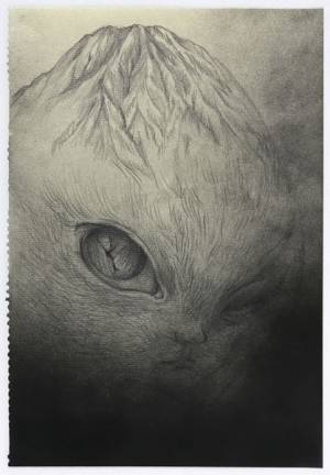 美術家・鴻池朋子の原点を探る展覧会『GALLERY MoMoの地下探索：鴻池朋子の「踊る手」』開催