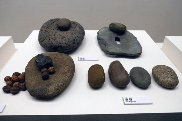 『縄文2021―東京に生きた縄文人―』江戸東京博物館にて開幕　現代へとつながる“東京の縄文人”たちの暮らしに迫る