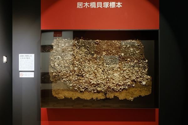 『縄文2021―東京に生きた縄文人―』江戸東京博物館にて開幕　現代へとつながる“東京の縄文人”たちの暮らしに迫る