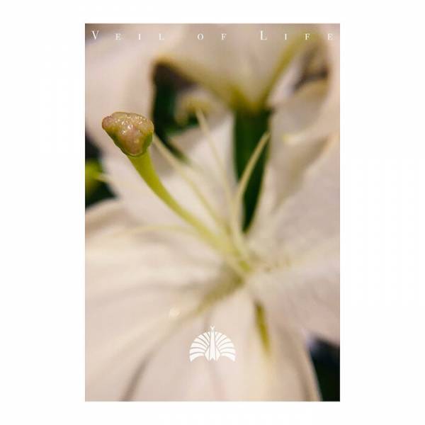 東京事変、最新映像作品よりステージ全景を定点撮影「電波通信」公開