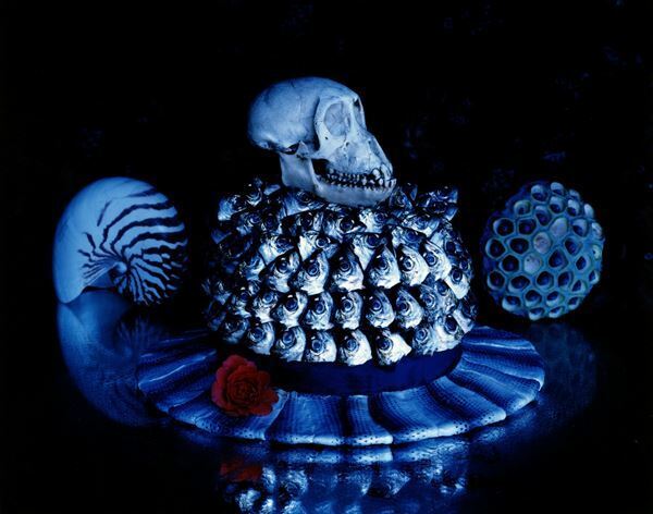 国内外で高い評価を得ている写真家・今道子が、日本の美術館では初となる個展を開催