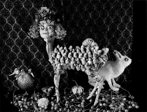 国内外で高い評価を得ている写真家・今道子が、日本の美術館では初となる個展を開催