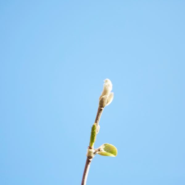 クリープハイプ、「キケンナアソビ」がABEMA『給与明細』EDソングに決定