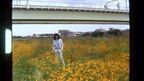 坂本慎太郎がひたすら東京を徘徊、「ツバメの季節に」MV公開