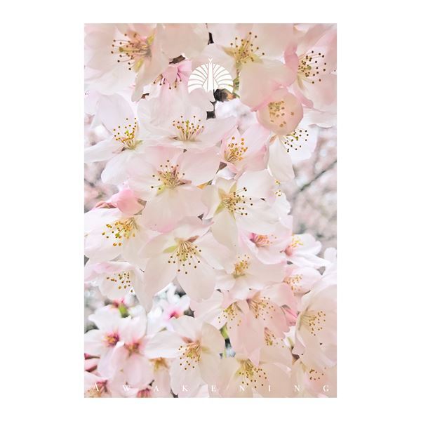 東京事変、劇場版『名探偵コナン』主題歌「永遠の不在証明」配信シングル化決定　CPに初インスト曲収録