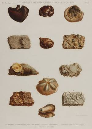 版画鑑賞の“ツボ”を紹介『版画の見かた―技法・表現・歴史―』、町田市立国際版画美術館にて開催