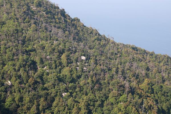 Chim↑Pom、⼩泉明郞、⽑利悠⼦ら、アーティスト16組によるコロナ禍以降の社会を探る展覧会開催