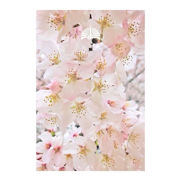 東京事変、テレ東『WBS』に新曲「緑酒」を書き下ろし「現役世代の肩に伸し掛かる重みを分かち合いたい」