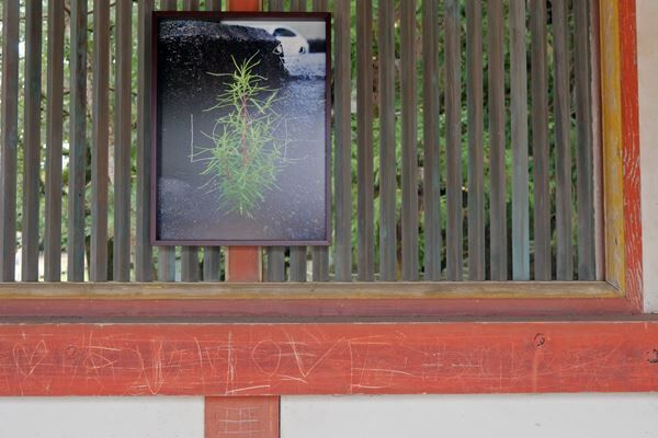 「ALTERNATIVE KYOTO（オルタナティブ・キョウト）」11月7日まで開催中　京都府6エリアを舞台に、地域の自然や文化と向き合うアート作品を展開