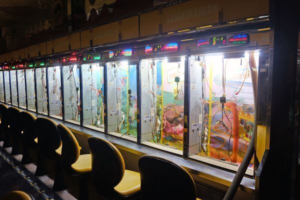 「ALTERNATIVE KYOTO（オルタナティブ・キョウト）」11月7日まで開催中　京都府6エリアを舞台に、地域の自然や文化と向き合うアート作品を展開