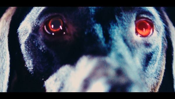 back number、最新曲「エメラルド」MVのプレミア公開が決定