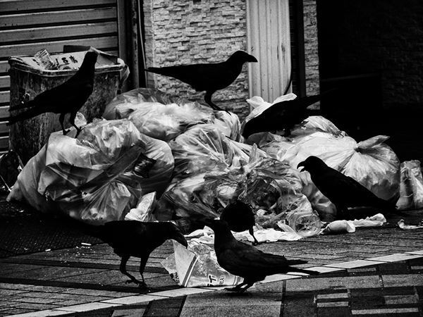 森山大道が切り取る東京風景。 最近作を中心に約180点を展示