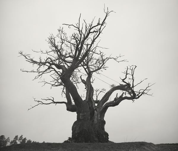 SEKAI NO OWARI、初のベストアルバムが2月10日にリリース決定　アートワーク＆収録楽曲などの詳細公開