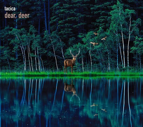 tacica、初のベストアルバム『dear, deer』12月22日リリース