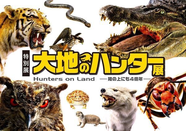 さまざまな捕食者（ハンター）の起源と進化を紹介する『大地のハンター展』　 人気コミック『BEASTARS』とのコラボも！