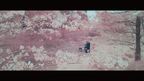 RADWIMPS、カロリーメイトCM曲「鋼の羽根」桜色の映像美で魅せるMV公開