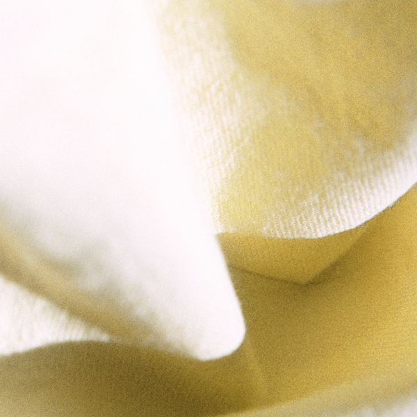 カネコアヤノ、ニューアルバム『よすが』4月14日リリース＆5月から全国9公演ツアー開催