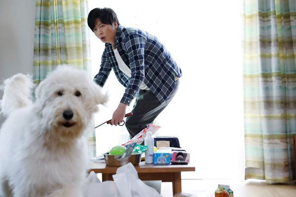 田中圭が犬との“初めての連続”に大奮闘！  思わず胸キュンな『ハウ』本編シーンが特別解禁