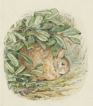 ピーターラビット(TM)の誕生前夜から今日までの歩みを振り返る　『出版120周年 ピーターラビット(TM)展』3月26日より開催