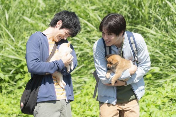 中川大志が見せる無邪気な表情と迫真の熱演　『犬部！』メイキング映像公開