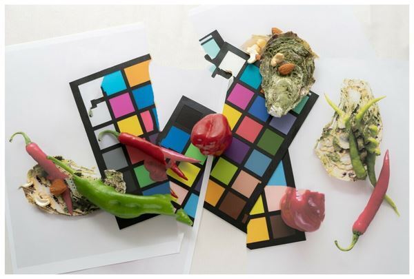 美術館の展示空間を活かしたインスタレーション形式で公開『見るは触れる 日本の新進作家 vol.19』