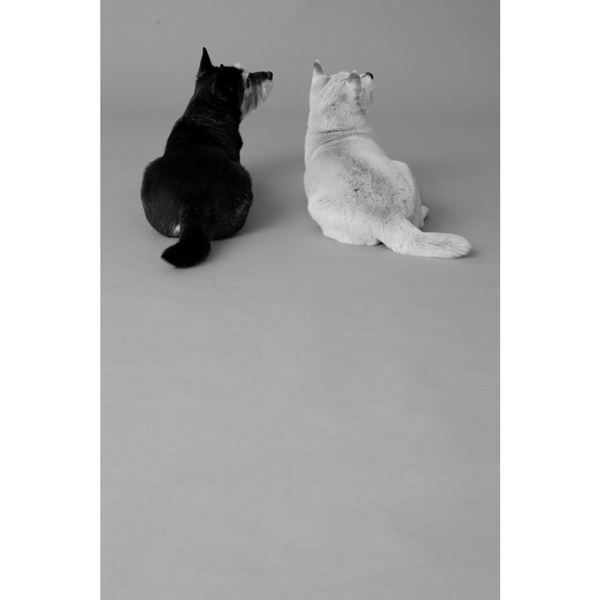 写真家活動30年超！　「写真家・平間至の両A面」フジフイルム スクエアにて開催中