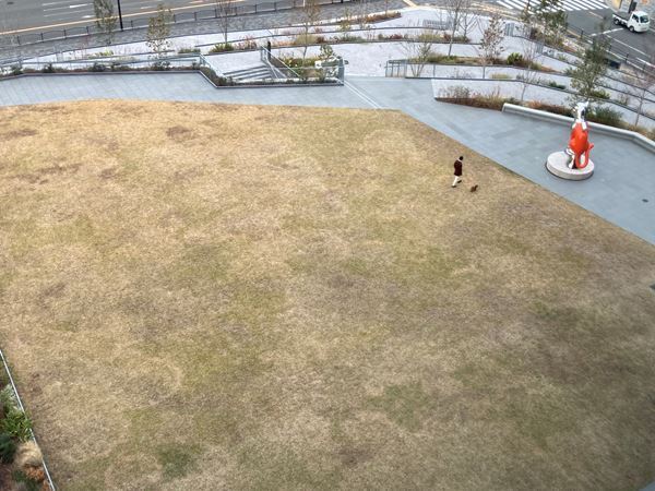 2月2日、大阪中之島美術館オープン！　開館記念『Hello! Super Collection 超コレクション展 ―99のものがたり―』もレポート