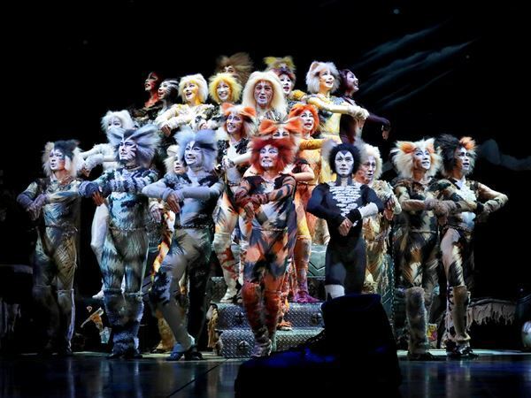 劇団四季『キャッツ』が21年ぶりに名古屋へ！ ランペルティーザ役の長谷川彩乃にその魅力を聞く