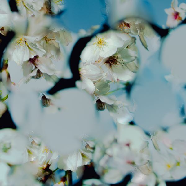 星野源、新曲「喜劇」配信リリースを記念して描き下ろしイラストステッカーが当たるキャンペーン実施